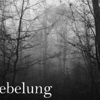 Nebelung圖片照片_Nebelung