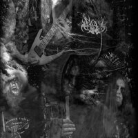 Nightforest圖片照片_Nightforest