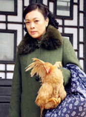捍衛者線上看_全集高清完整版線上看_分集劇情介紹_好看的電視劇