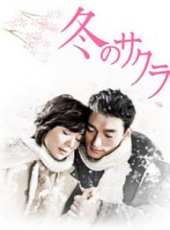 佐藤健演過的電影電視劇線上看_影視作品大全_好看的明星