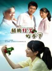 周磊演過的電影電視劇線上看_影視作品大全_好看的明星