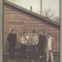 The Feelies圖片照片_The Feelies