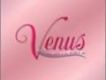 Venus Best Girl-Hits