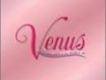 Venus Best Girl-Hits