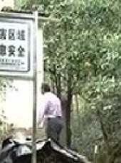 遼寧新聞最新一期線上看_全集完整版高清線上看 - 蟲蟲綜藝