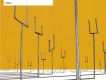 Origin of Symmetry