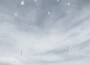 林達浪最新歌曲_最熱專輯MV_圖片照片