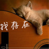 羅其鵬歌曲歌詞大全_羅其鵬最新歌曲歌詞