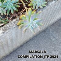 MARSALA COMPILATION JTP 2021