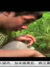 愛無疆最新一期線上看_全集完整版高清線上看_好看的綜藝