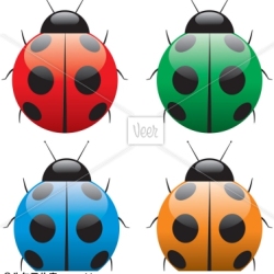 LADY BiRD圖片照片_LADY BiRD