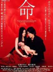 江角真紀子演過的電影電視劇線上看_影視作品大全_好看的明星