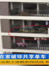 成都全接觸最新一期線上看_全集完整版高清線上看 - 蟲蟲綜藝