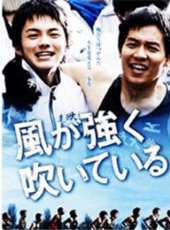 福田沙紀演過的電影電視劇線上看_影視作品大全_好看的明星