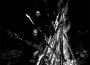 Synninghtwait專輯_Dark FurySynninghtwait最新專輯