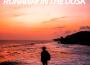 Runaway In The Dusk專輯_Gero ZRunaway In The Dusk最新專輯