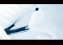 Bird Without Wings專輯_Diary of DreamsBird Without Wings最新專輯