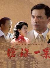 苗圃最新電視劇_苗圃電視劇作品全集線上看_好看的電視劇