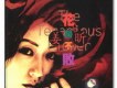 花開不敗