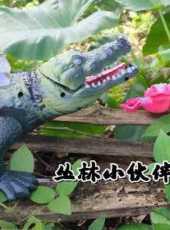叢林小夥伴動漫全集線上看_卡通片全集高清線上看_好看的動漫