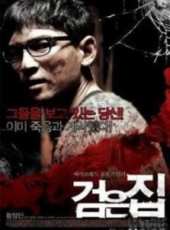 金淑亨演過的電影電視劇線上看_影視作品大全_好看的明星