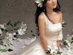 肖燕歌曲歌詞大全_肖燕最新歌曲歌詞