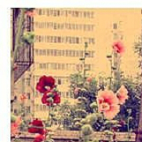 陌小塵圖片照片_陌小塵