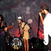 Devendra Banhart圖片照片_Devendra Banhart