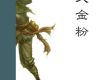 俠義金粉