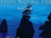 The Music Of Olympic