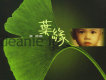 明星歌詞_葉德嫻明星歌詞