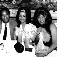 Tammi Terrell圖片照片_Tammi Terrell
