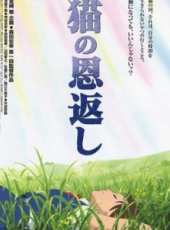 前田亞季演過的電影電視劇線上看_影視作品大全_好看的明星