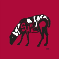 Bad Black Sheep歌曲歌詞大全_Bad Black Sheep最新歌曲歌詞