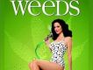 單身毒媽 第四季 Weeds S4
