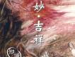 知識樂團歌曲歌詞大全_知識樂團最新歌曲歌詞