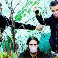 Miike Snow圖片照片_Miike Snow