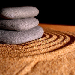 Zen Garden圖片照片_Zen Garden