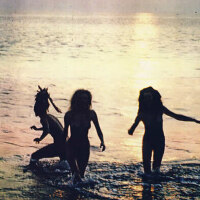 The Slits圖片照片_The Slits