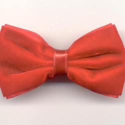 Bow&nbsp;Wow圖片照片_Bow&nbsp;Wow