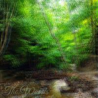 The Woods