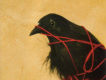 Transatlanticism