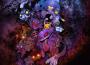 Nightmares Are Real專輯_JellothekiddNightmares Are Real最新專輯