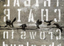 Crows in the cloud專輯_Tribal Chair Crows in the cloud最新專輯
