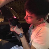劉三歲圖片照片_照片寫真