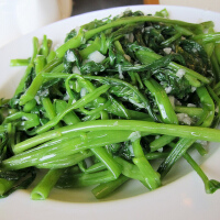 MORNING GLORY圖片照片_MORNING GLORY