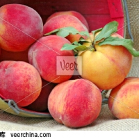 Peaches圖片照片_Peaches