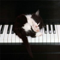 Chandelier (Originally Performed By Sia) [Piano Ka