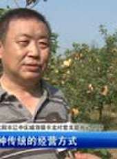 遼寧新聞最新一期線上看_全集完整版高清線上看 - 蟲蟲綜藝
