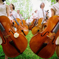 Portland Cello Project圖片照片_Portland Cello Project